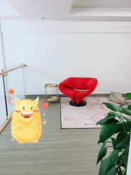 -L.MJ轻奢皮肤管理中心
