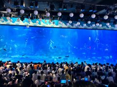 -烟台海昌鲸鲨海洋公园