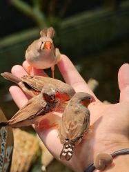 -Zoolung Zoolung动物主题公园(海信广场店)