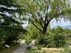 -国家植物园南园