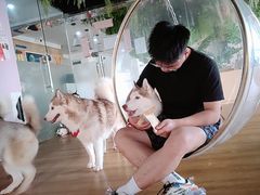 -Husky Go! 哈士奇体验馆·宠物咖啡厅狗咖