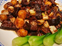 葱烧海参-四季厨房 鲁菜·孔府烤鸭(高新万达店)