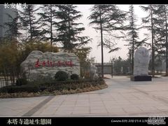 -木塔寺遗址生态公园