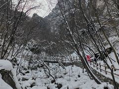 -青峰峡国家森林公园