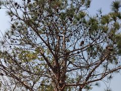 -中国移动南方基地