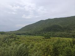 -开平碉楼文化旅游区马降龙景区