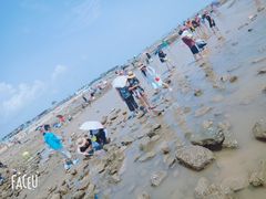 -日照海滨国家森林公园