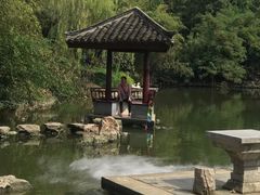 -水绘园