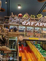 点击看大图 -卡通尼·Safari非洲探索乐园·生日会(金桥国际商业广场店)