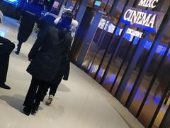 -万象影城(石家庄万象城IMAX激光店)