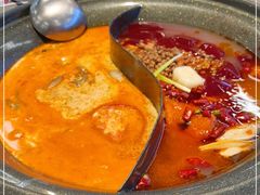 -生活如沸·顺德水牛奶火锅(大学路店)