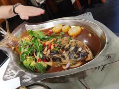 南湾水库鱼-老家信阳菜(北京路店)