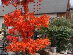 -后湖小院·乡野田园菜