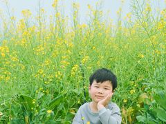 -光明小镇欢乐田园