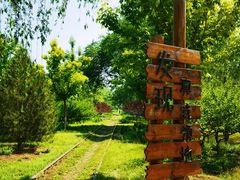 -永定河休闲森林公园