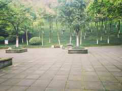 -龙头寺公园
