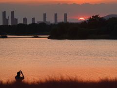 -贡湖湾湿地公园