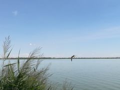 -包头南海湿地景区