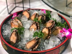 鲍鱼-郑庄脂渣海鲜楼(九水路店)