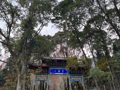 -窦圌山风景区