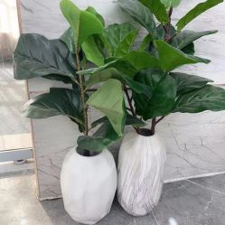 -Coco Salon 日系烫染专业店