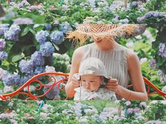 -天适樱花悠乐园
