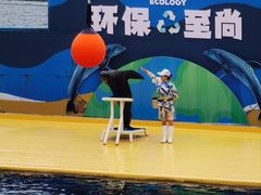 -秦皇岛乐岛海洋王国