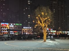 -邢氏老太太烤串(北兴街店)