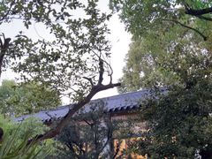 -万景茶庄·台州菜