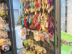 -萌兽医馆·眼科·异宠专科(三里屯店)