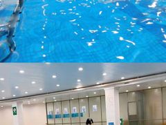 -同济大学四平路校区游泳馆