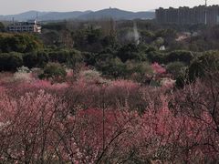 -无锡梅园公园