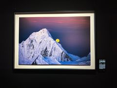 -罗红摄影艺术馆