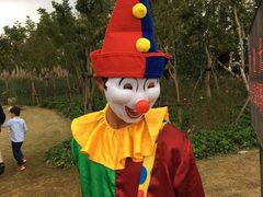 -上海长兴岛郊野公园