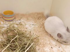 -龙猫仔乐园(惠福东路店)