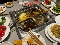 -海底捞火锅(宝龙广场夜宵主题店)