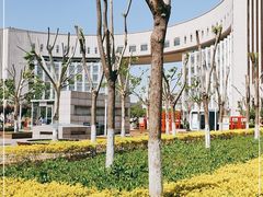 -国家动漫园