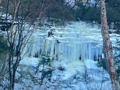 -洛阳白云山景区