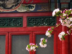 -海棠花溪(元大都城垣遗址公园)