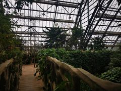 -南山植物园