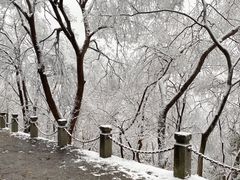 -紫金山山顶公园