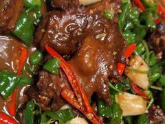 -鸽子侯·家宴·平价海鲜(绿地店)
