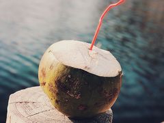 -绿堤公园