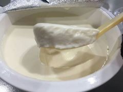 -狐狸家·酸奶酪专门店(平江路店)