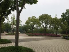 -新江湾城公园