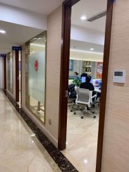 -碧莲盛·不剃发植发