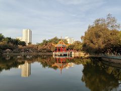 -金砂公园