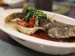 -鹭园酒家·四十年老字号