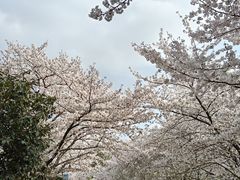 -玄武湖景区-情侣园游乐场