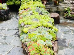 -寂照庵